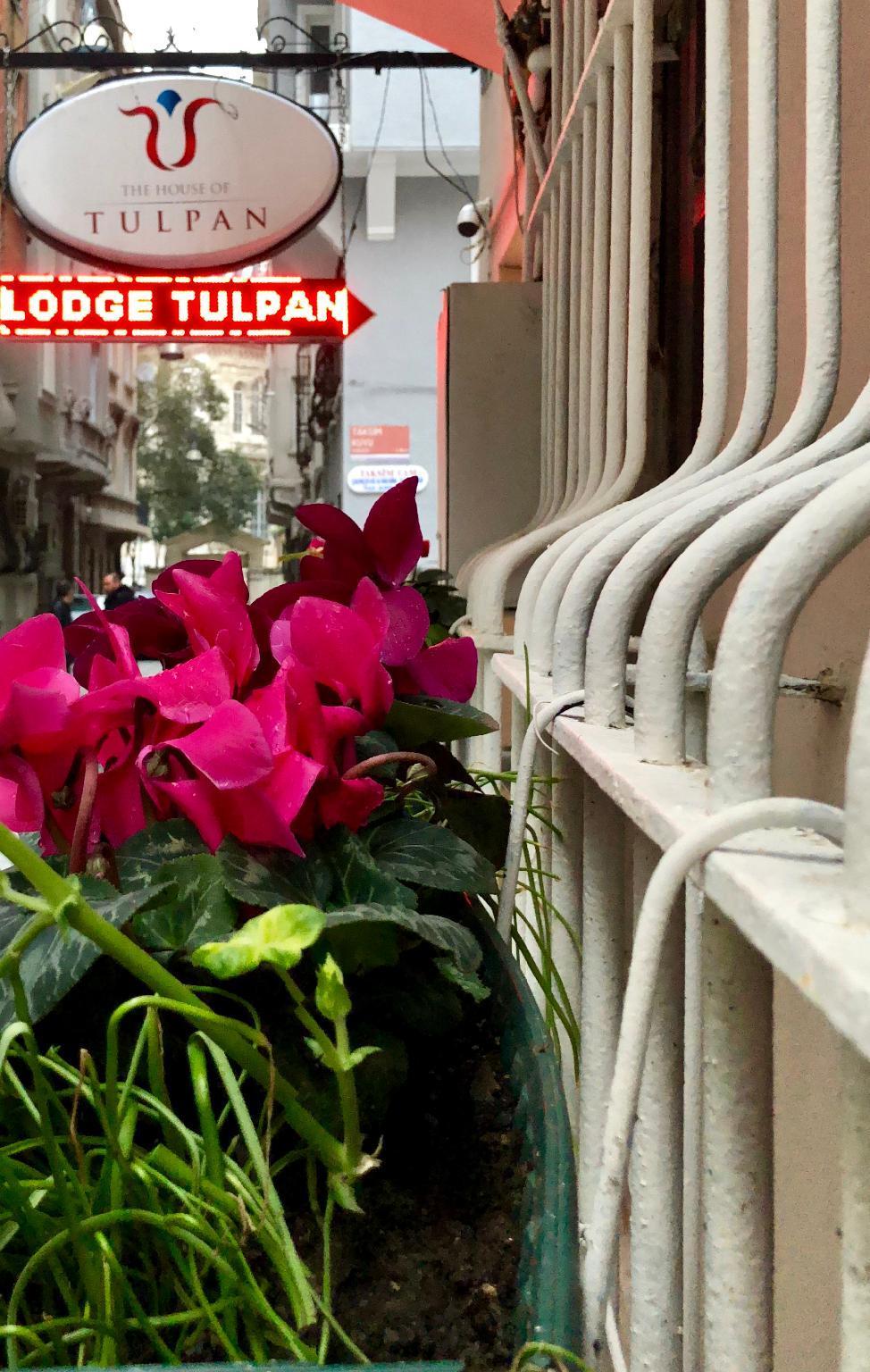 The House Of Tulpan Istambul Exterior foto